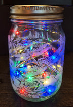 Dragonfly Mason Jar light